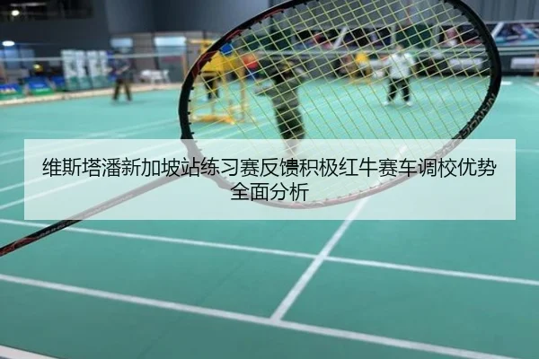 维斯塔潘新加坡站练习赛反馈积极红牛赛车调校优势全面分析