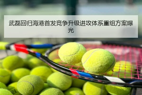武磊回归海港首发竞争升级进攻体系重组方案曝光